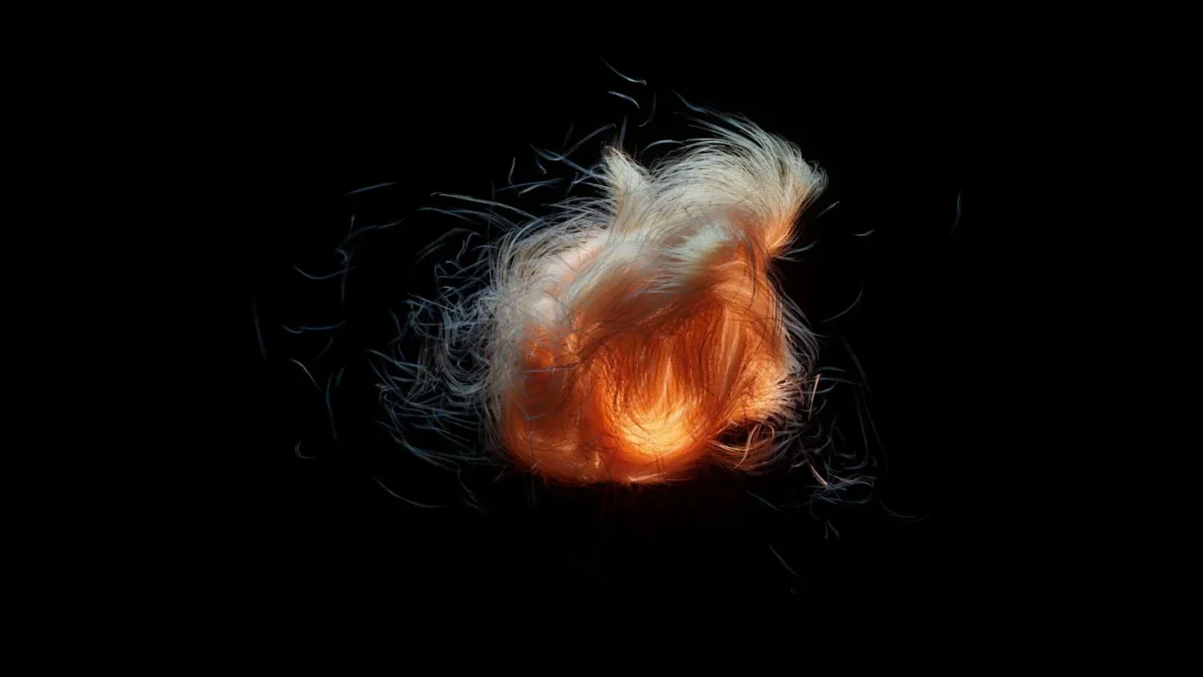 Cheveux d’ange et poils fins : comprendre et prendre soin de ce type de cheveu